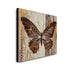 The Bronze Butterfly